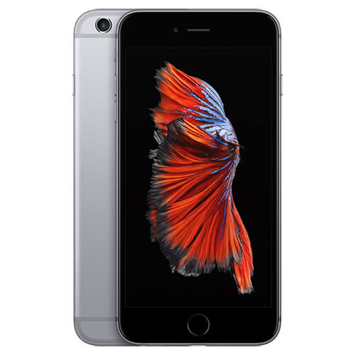 iPhone 6
